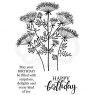 Woodware Woodware Clear Stamps Queen Anne's Lace | Set of 3