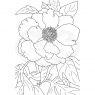 Woodware Woodware Clear Stamps Peony