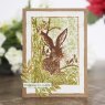 Woodware Woodware Clear Stamps Lino Cut Hare in the Brambles