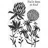 Woodware Woodware Clear Stamps Autumn Flowers | Set of 2