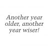 Woodware Clear Stamps Just Words Another Year Older