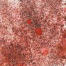 Cosmic Shimmer Cosmic Shimmer Pixie Burst Rusty Red | 25ml
