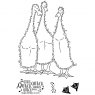 Woodware Woodware Clear Stamps Fuzzie Friends Morris, James & Bill the Ducks | Set of 4