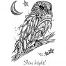Designer Boutique Creative Expressions Designer Boutique Collection Clear Stamps Doodle Owl | Set of 5
