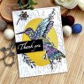 Designer Boutique Creative Expressions Designer Boutique Collection Clear Stamps Doodle Hummingbird | Set of 6