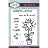 Sam Poole Creative Expressions Sam Poole Clear Stamp Set Daisy Bloom | Set of 6