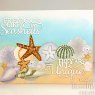 Sue Wilson Sue Wilson Craft Dies Mini Expressions Collection Duos Friends Are Like Seashells | Set of 2