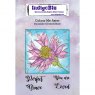 IndigoBlu A6 Rubber Mounted Stamp Colour Me Aster | Set of 3