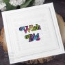 Sue Wilson Sue Wilson Craft Dies Boxed Sentiments Birthday Wishes