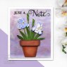 Sue Wilson Sue Wilson Craft Dies Layered Flowers Collection Iris | Set of 13