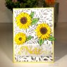 Sue Wilson Sue Wilson Craft Dies Layered Flowers Collection Sunflower | Set of 10