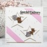 Sue Wilson Sue Wilson Craft Dies Mini Shadowed Sentiments Collection Special Delivery | Set of 2