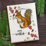 Designer Boutique Creative Expressions Designer Boutique Clear Stamps Squirrel Greetings | Set of 6
