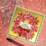 Jane's Doodles Creative Expressions Jane's Doodles Clear Stamps Poinsettia | Set of 10