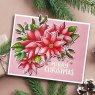 Jane's Doodles Creative Expressions Jane's Doodles Clear Stamps Poinsettia | Set of 10
