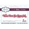 Sue Wilson Craft Dies Mini Shadowed Sentiments Collection You Are So Special | Set of 2