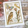 Woodware Woodware Clear Stamps Nature Page