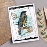 Woodware Woodware Clear Stamps Bluebird | Set of 2