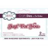 Sue Wilson Craft Dies Mini Shadowed Sentiments Collection Just For You | Set of 2